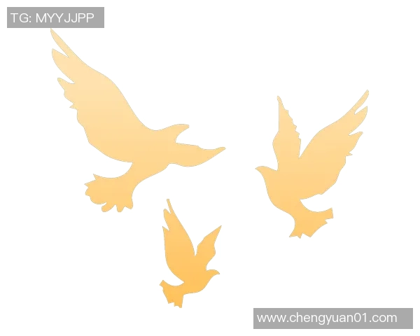 北京篮球队在联合会杯中的拼搏之路与荣耀时刻全景回顾